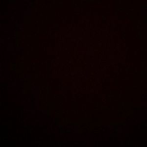 Meet your Posher, Damian